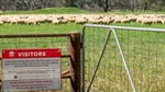 What's in a name: trespass is illegal, why do we call criminals activists?