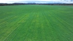 Curragada a versatile 2478 acre northern cropping and livestock operation