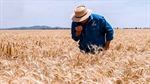 Corporate farmer tests NSW cropping land price after 'unsolicited' approach