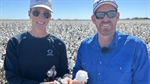 Busy time in cotton as planting begins hot on the heels of harvest ending