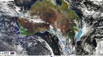 Video: northern NSW, south east Qld falls to ease, rain to head southeast