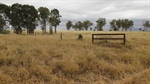 Backgrounding, fattening country hits $2547/acre at strong auction | Photos
