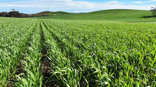 Spring harvest | Two more big farm portfolios join a growing list of sales