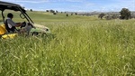 Riversteen: quality sheep, cattle country with improved pastures | Video