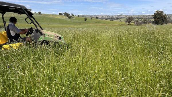 Riversteen: quality sheep, cattle country with improved pastures | Video