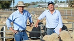 To ASBV or not to ASBV: major Merino productivity project's early insights