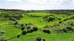 From hilly Upper Murray to the west's volcanic plains, beef property sales