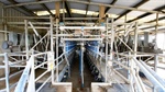 New starters take note, easy-to-run dairy farm sells after listing for $1.4m