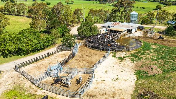 Choice of two dairy farms for sale in the east and west of Victoria