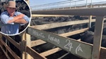 Debt recovery sale: Absolute Angus cattle sold for impressive sum at Roma