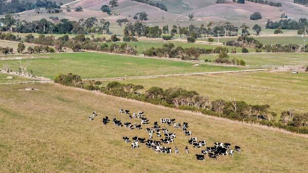 Small farms, big price tags: West Gippsland properties make $15,000 per acre