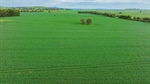 Blue-ribbon Rothesay combines scale, productivity and lifestyle | Video