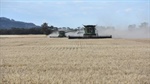 Flexibility is key to the future - and history - of industry grain levies