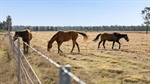 Well-located grazing property with approved subdivision potential | Video