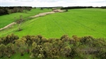 Investment chance as two grazing farms offered together in Western District