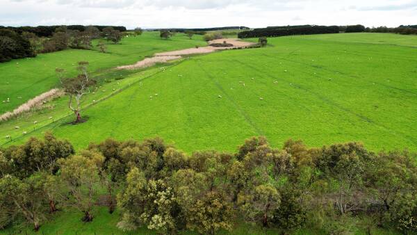 Investment chance as two grazing farms offered together in Western District