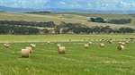 Tree change pivot as hot demand for lifestyle blocks heads further inland