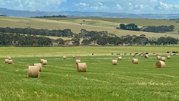 Tree change pivot as hot demand for lifestyle blocks heads further inland