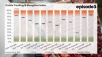 Processor reality: cattle flow shifts south as northern slaughter eases