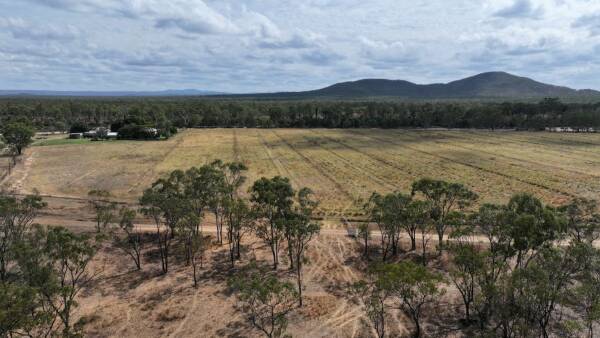 Fertile irrigated farming, grazing country on the banks of the Cape River