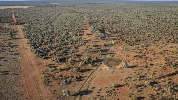 Woonoona & Tatala: proven, drought-proof breeder country on market | Video