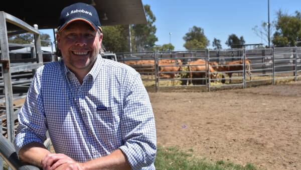 All it will take is a US herd rebuild of 5-10pc and Aussie beef has problems