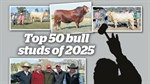 Revealed: the bull studs that made the Australian top 50 in the 2025 season