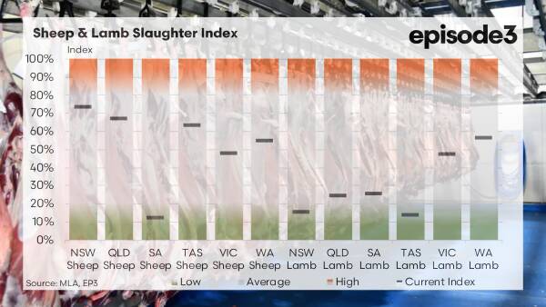 Why the spring flush didn't crash sheep prices: an inside look by Episode 3