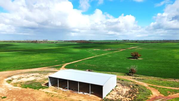 Munro Brothers' big Mallee farm near Speed has sold for almost $4 million