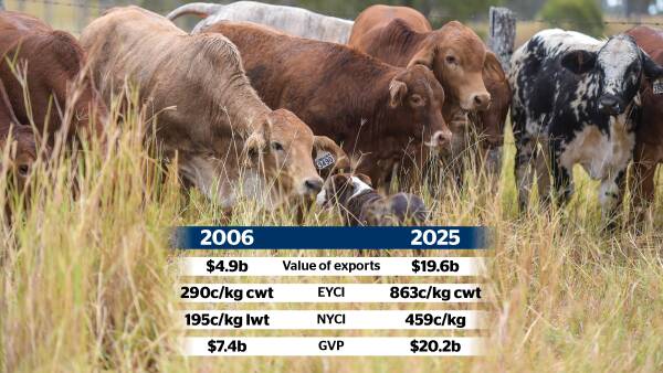 The $20 billion question: producers weigh in on the beef levy's true cost
