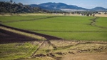 Premium Liverpool Plains property offers versatile farming, grazing | Video