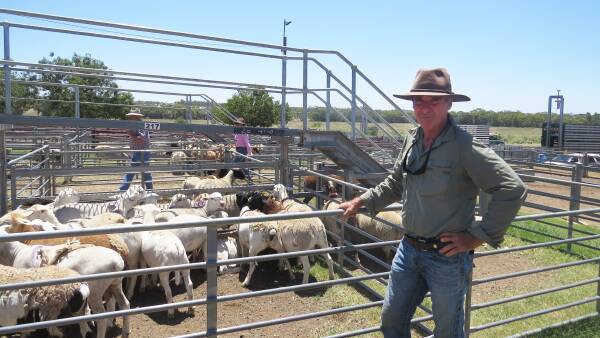 Fattening 2000 lambs a year: the $500k bet one trader put on infrastructure