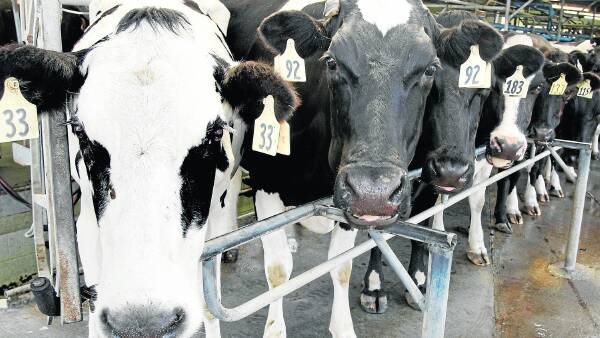 Innovator finalists announced for Australian Dairy Conference 2026