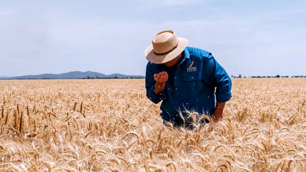 Trading floods for less risky NT, why this corporate farmer is farewelling NSW