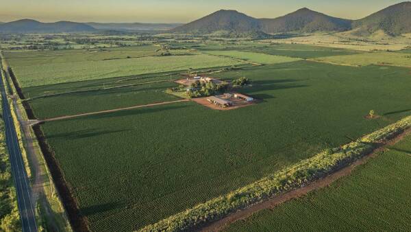 Major peanut farming operation in prime agricultural region on the market