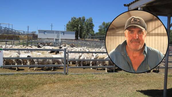 How 'archaic' quotas and tariffs are holding Australian producers back