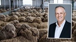 From winemaking to wool: AWI reveals surprising choice for new top boss