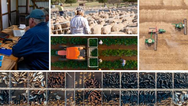 A bumper $101b year for ag output, but farm profits could now slide 40pc