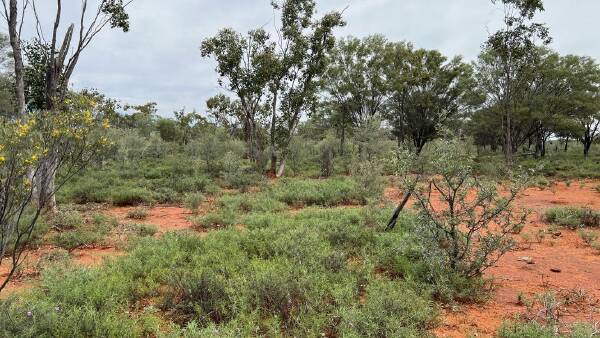 Outback mulga lands property on the market for a staggering $130 million