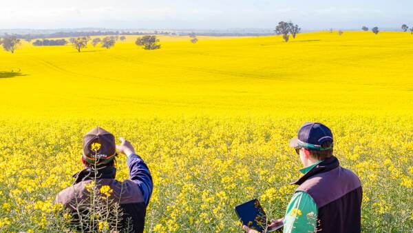 $100 billion reasons to nominate Aussie ag's movers, shakers and change makers for regionals