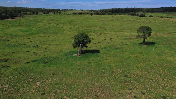 Top quality Maranoa cattle country with future gas and gravel potential