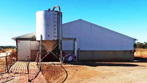 Piggeries selling in SA's Mid North and Victoria's Wimmera: Compare prices