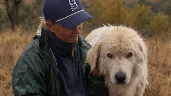 Decade of data: the blueprint to train the most successful guardian dogs