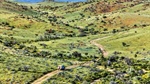 Record rain transforms Flinders Ranges station into green oasis for buyers