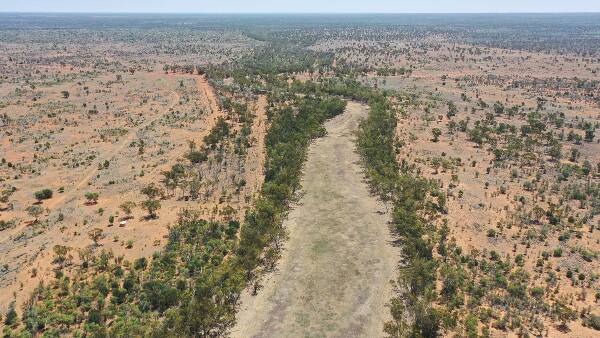 The Twelve Mile offers significant mulga reserve feeds ideal for a dry time