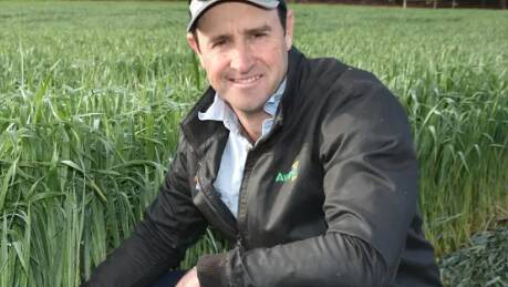 "Worse than 2021" as growers push for ZP 50 bait to battle mouse plague