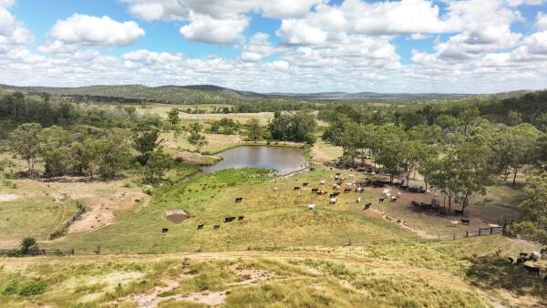 Boomer of a property presented walk in, walk out with EU herd and plant