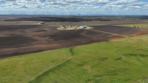 Irrigation, dryland farming, cattle backed by quality improvements | Photos
