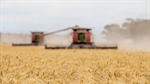 Why the wheat market is bullish and what it means for Australian farmers