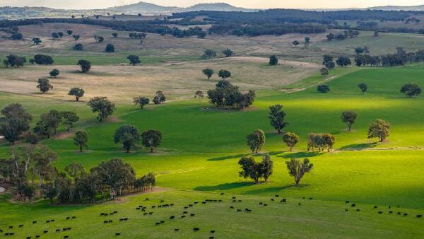 Highly productive livestock country with top improvements hits $6487/acre
